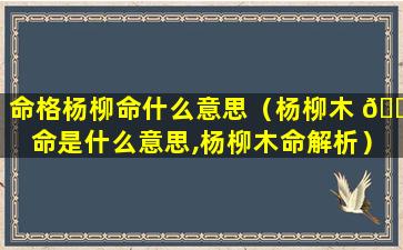 命格杨柳命什么意思（杨柳木 🐺 命是什么意思,杨柳木命解析）